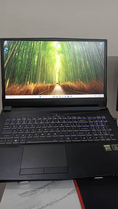 Gaming Laptop | Intel Core i5 11400 | NVIDIA RTX 3070 8GB | 144Hz IPS