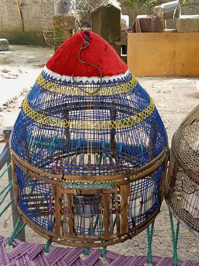 Cage Pinjara for Sale