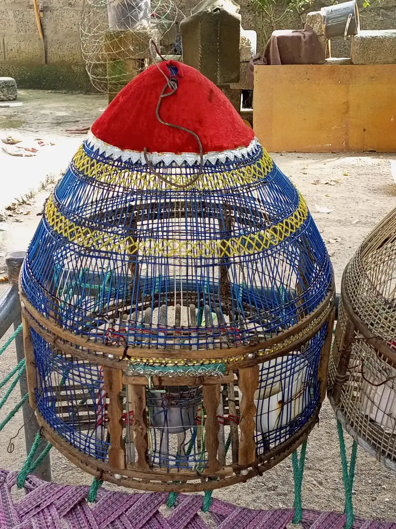 Cage Pinjara for Sale