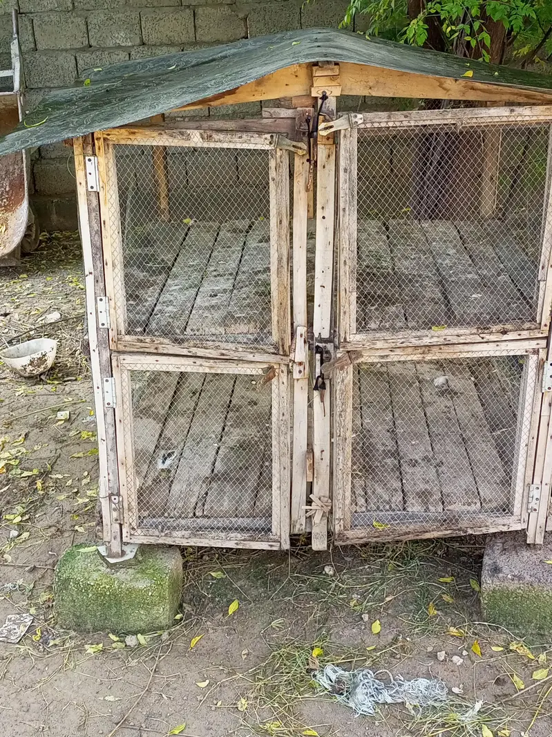 Cage Pinjara for Sale — photo 3