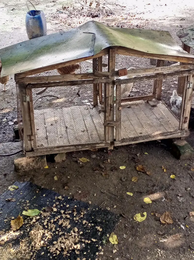 Cage Pinjara for Sale — photo 5
