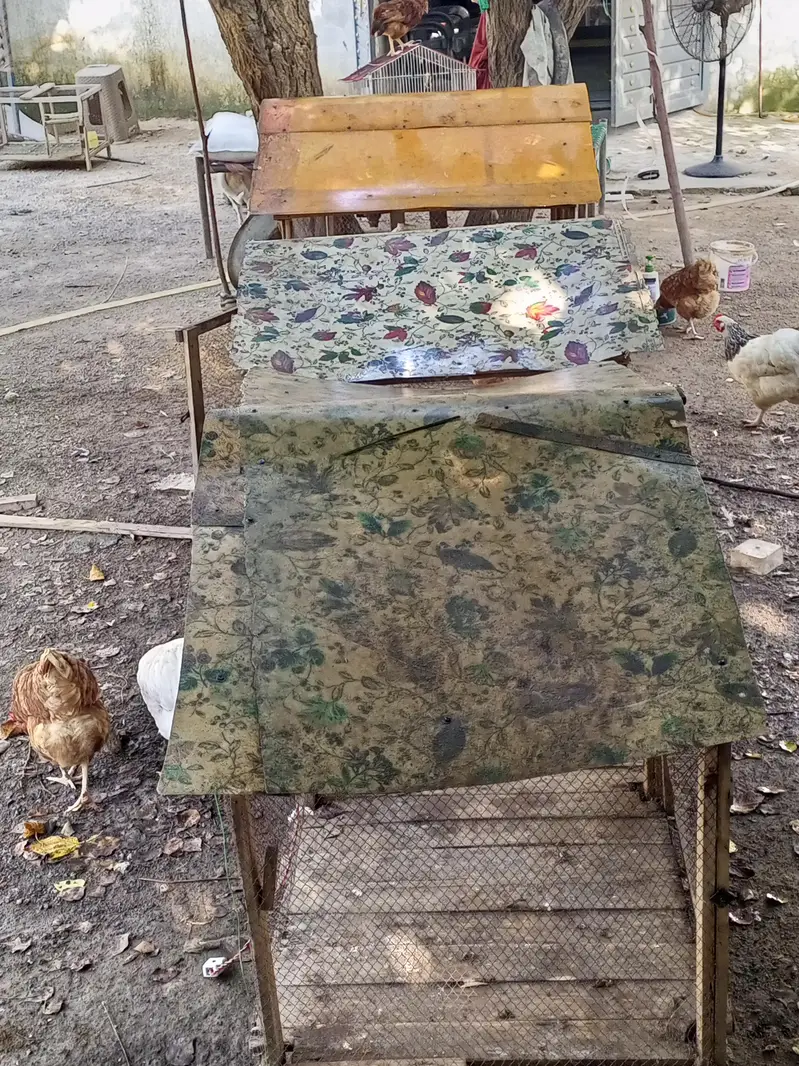 Cage Pinjara for Sale — photo 6