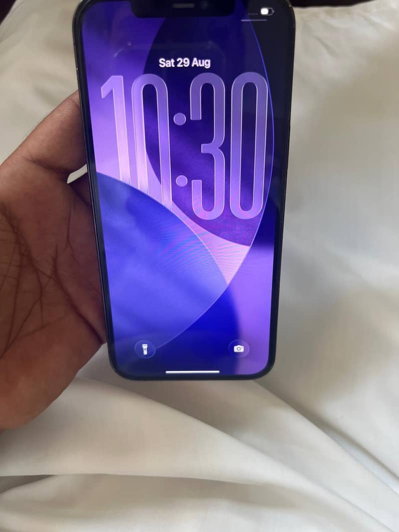 Apple iPhone 12 Pro Max 2
