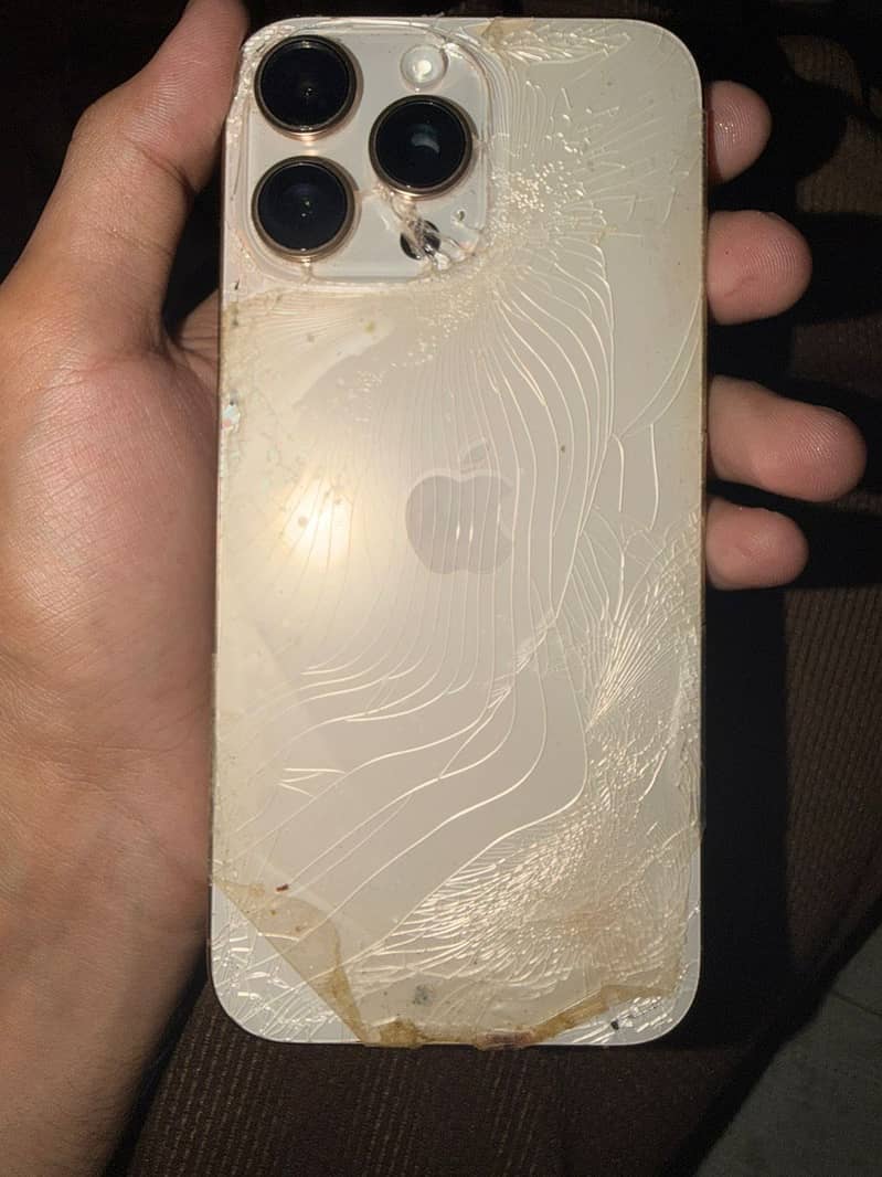 Apple iPhone 16 Pro Max 1