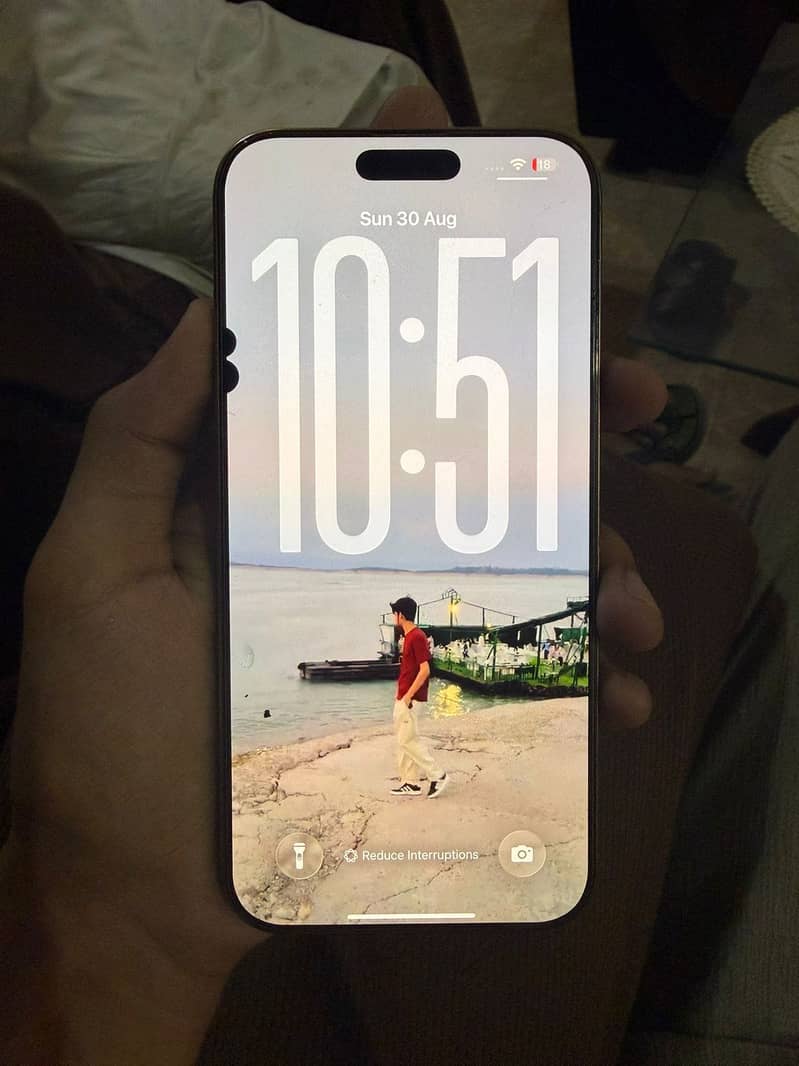 Apple iPhone 16 Pro Max 2
