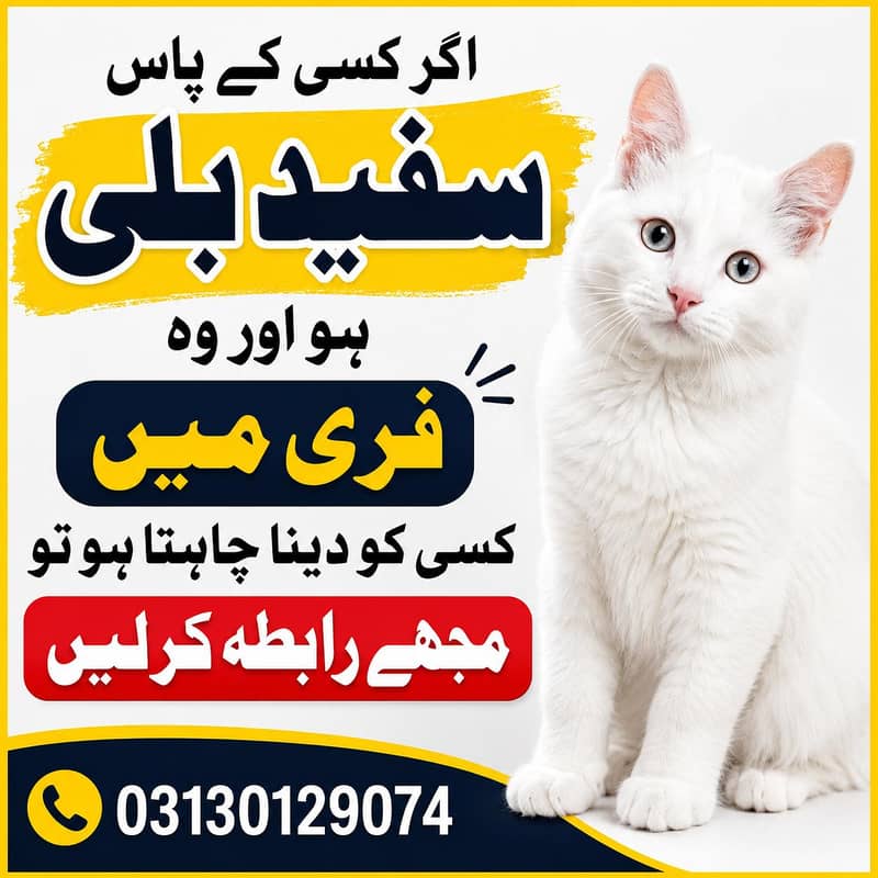 Need Cat 0