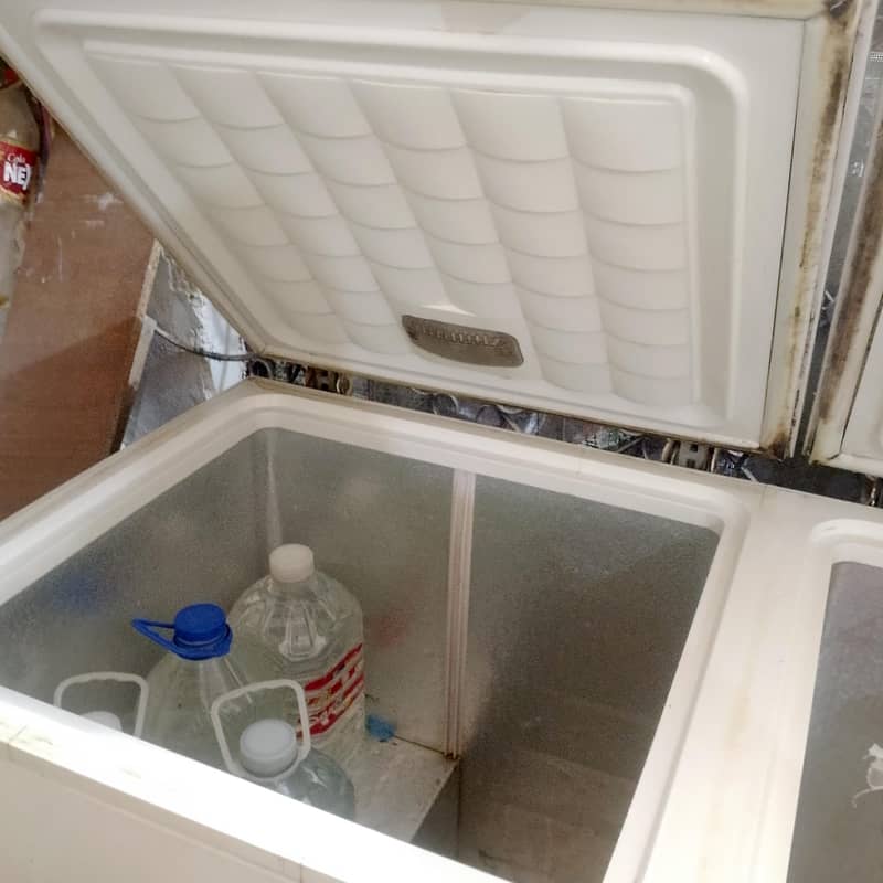 double dorr freezer 2