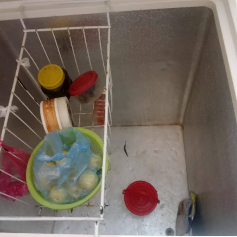 double dorr freezer 3