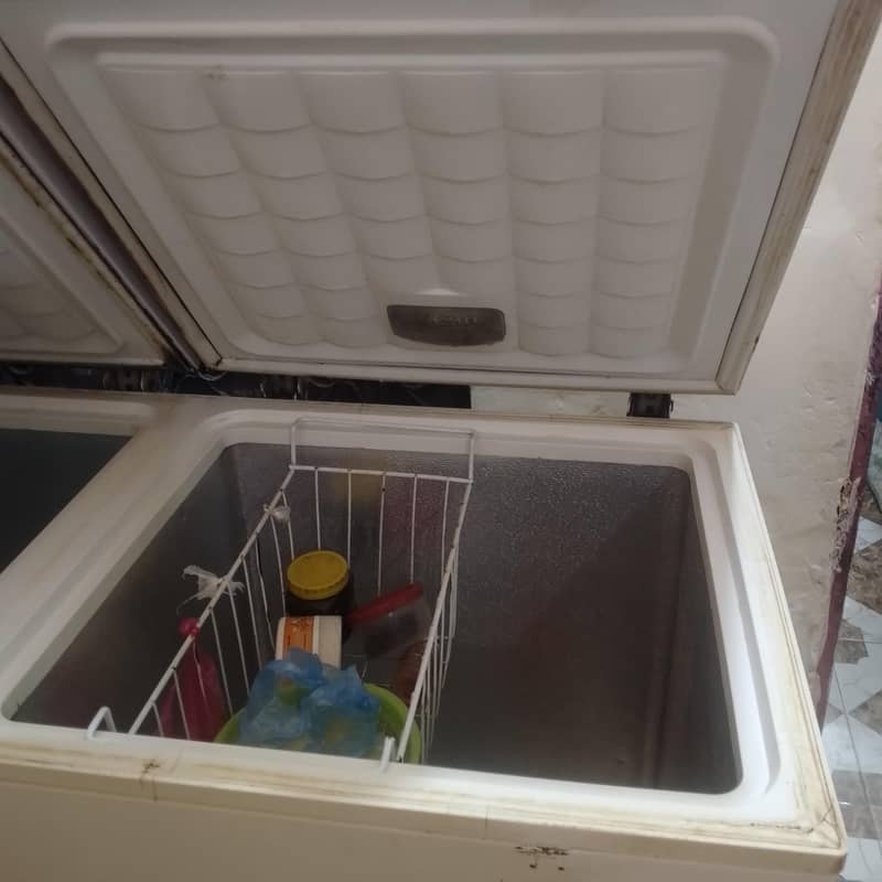 double dorr freezer 4