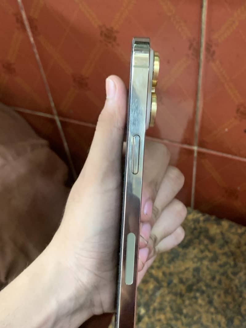 Apple iPhone 14 Pro Max 3