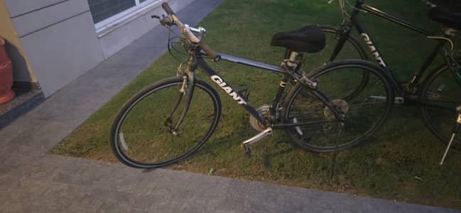 used Giant bicycle