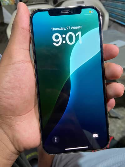 Apple iPhone 12 Pro Max