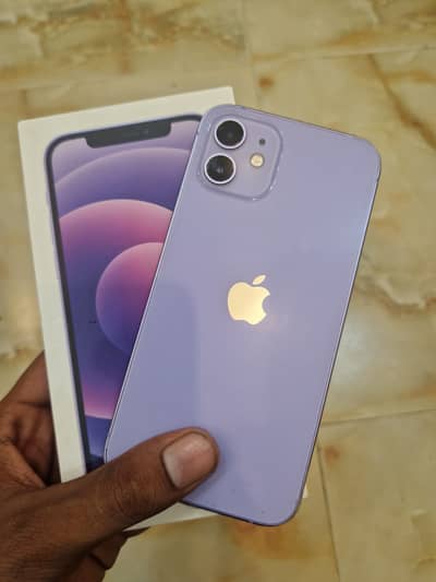 Apple iPhone 12