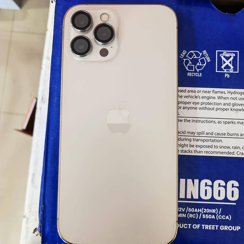 Apple iPhone 12 Pro Max 1