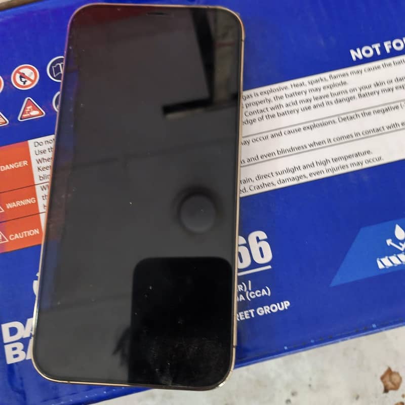 Apple iPhone 12 Pro Max 2