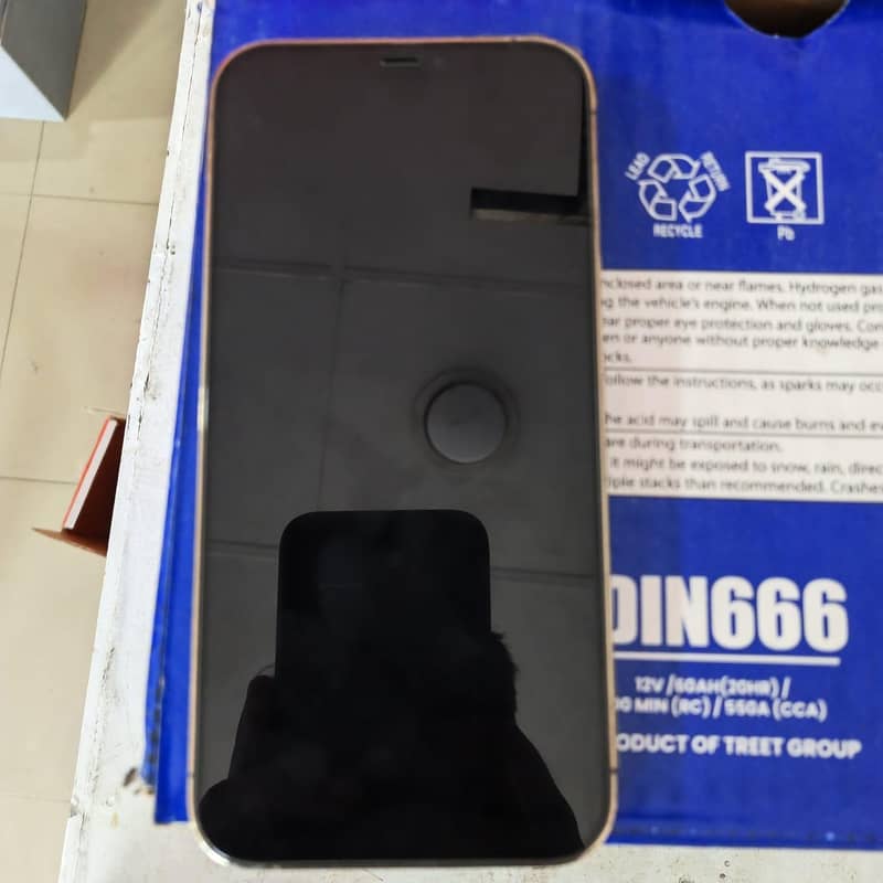 Apple iPhone 12 Pro Max 4