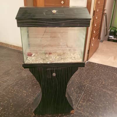 fish iqurman for sale