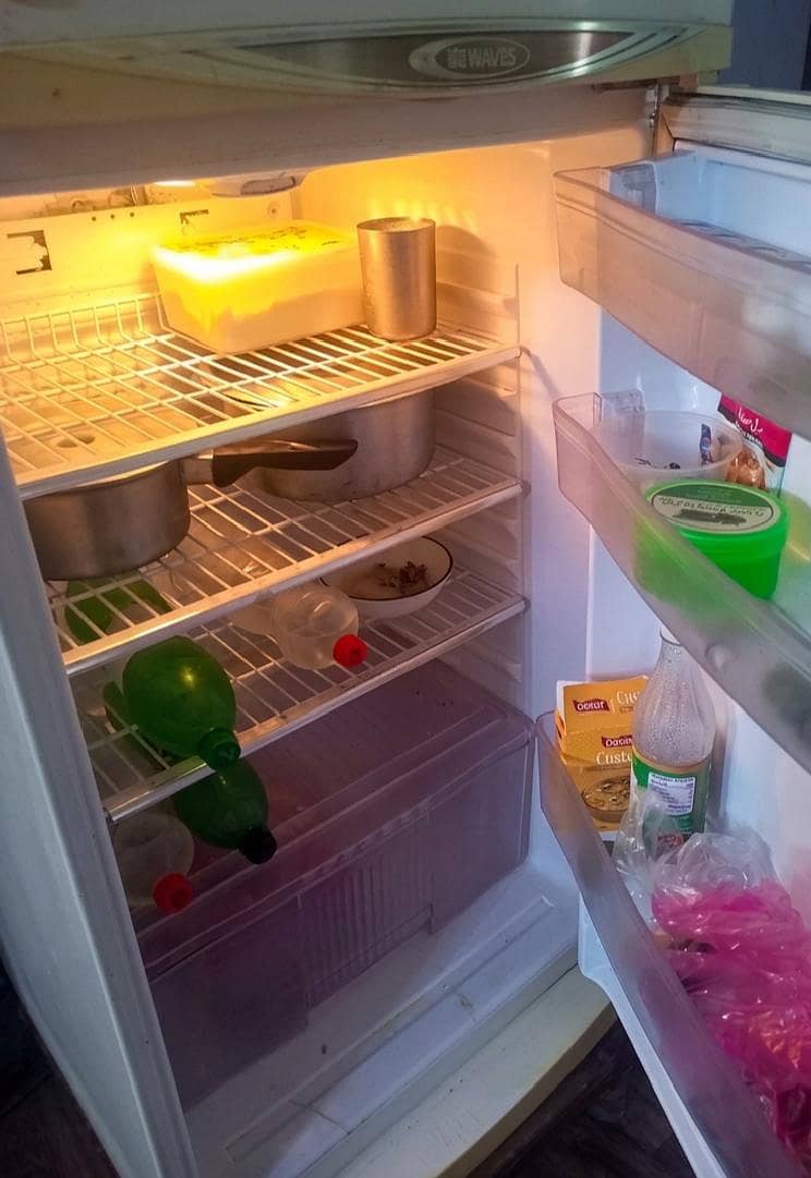 Waves Large Fridge 0