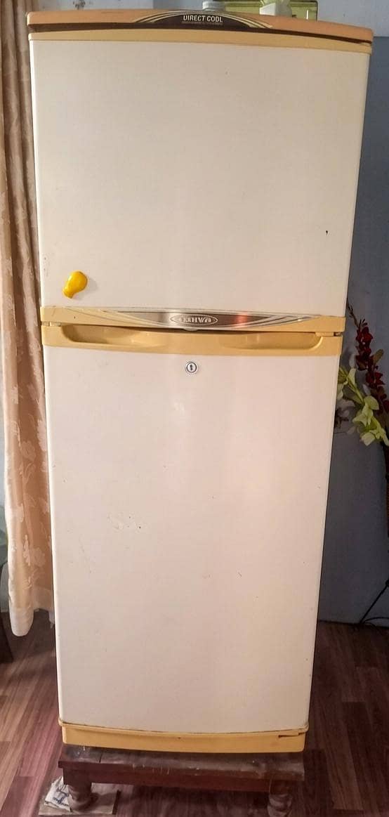 Waves Large Fridge 1