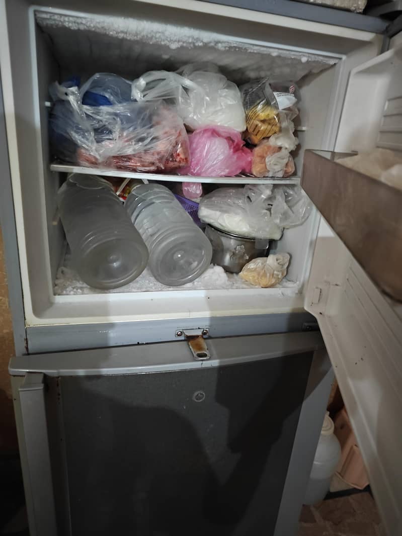 fridge 1