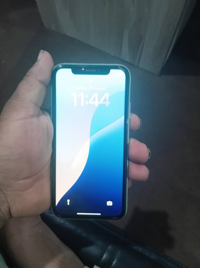 Apple iPhone 11 0
