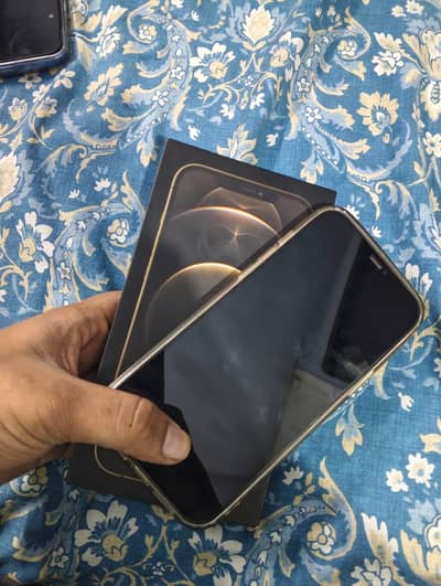 Apple iPhone 12 Pro Max