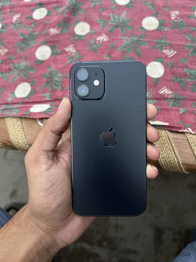 Apple iPhone 12 1