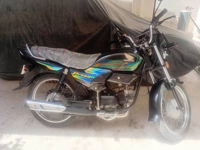 pridor 100cc- A horse