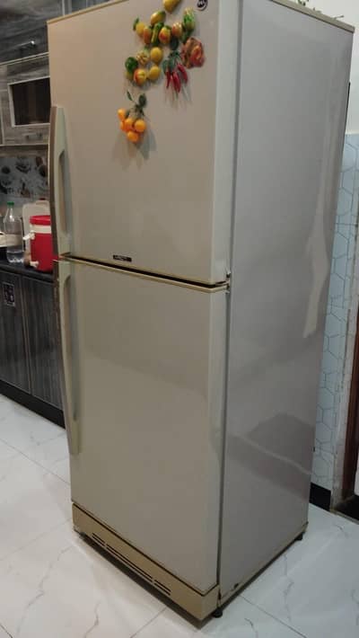pel refrigerator for sale