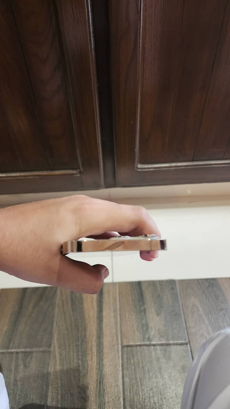 Apple iPhone 13 Pro 1