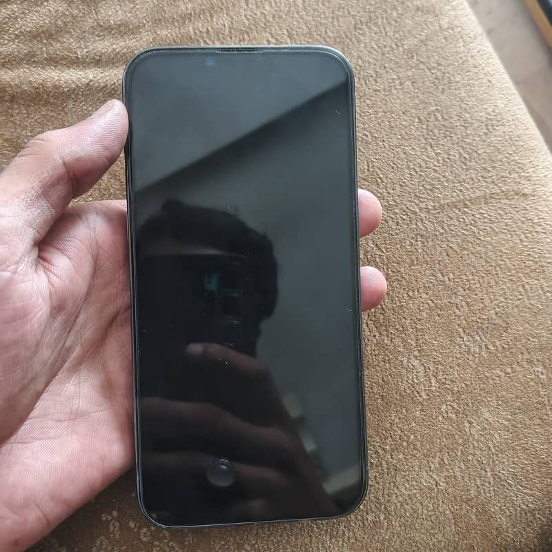 Apple iPhone 13 Pro Max 1
