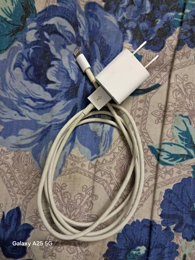 iphone orignal charger