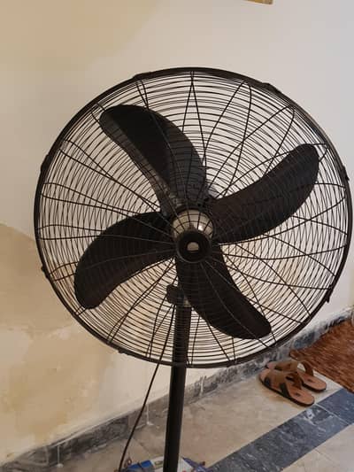 Pedestal Fan