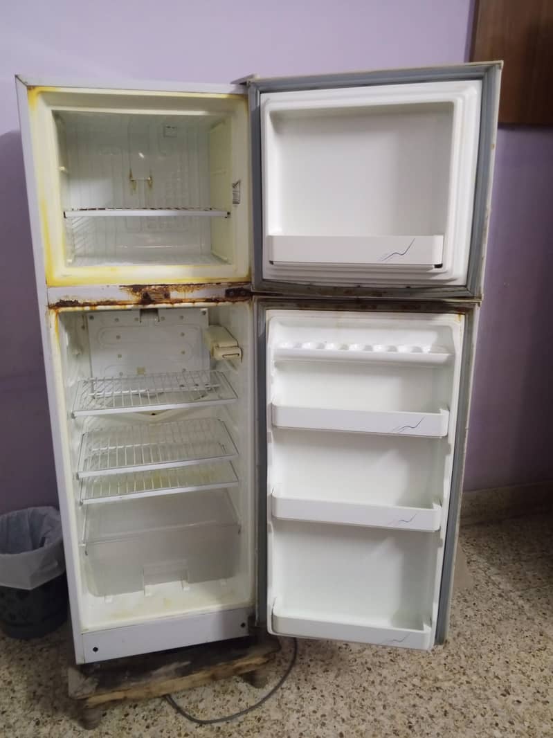 fridge 1