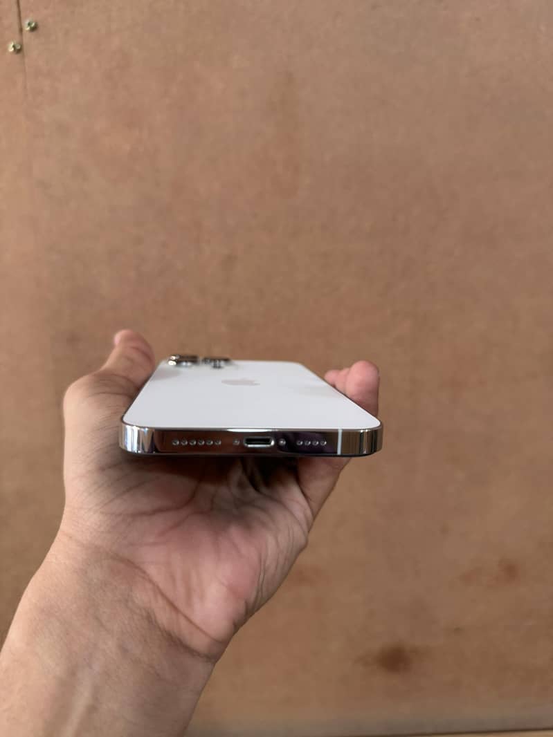 Apple iPhone 13 Pro Max 1