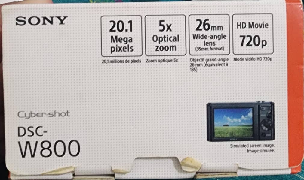DSC-W800 5