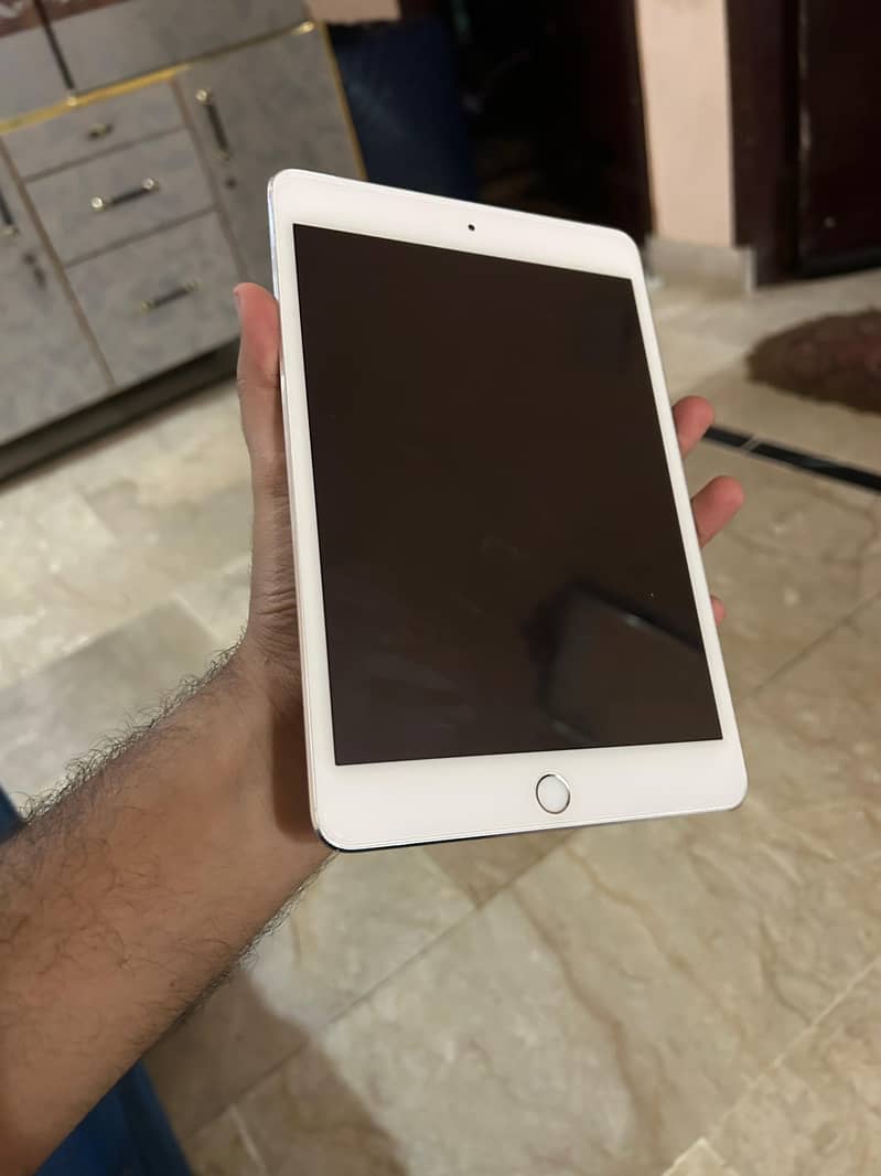 ipad mini 4 2