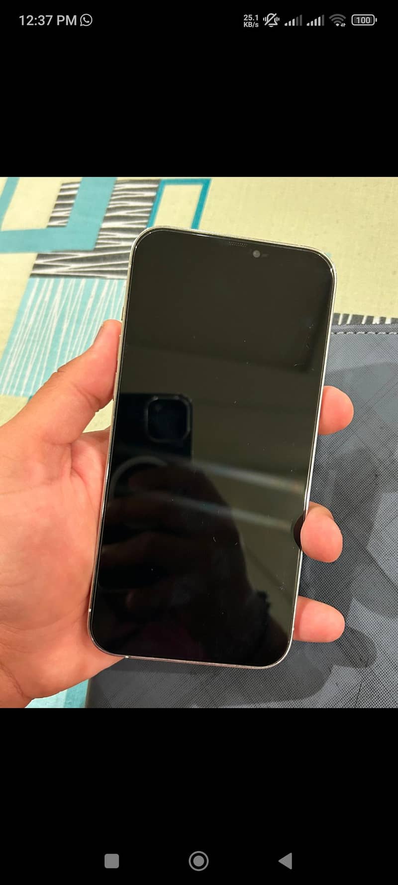 Apple iPhone 12 Pro Max 1