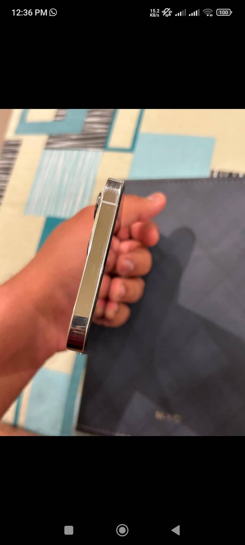 Apple iPhone 12 Pro Max 2