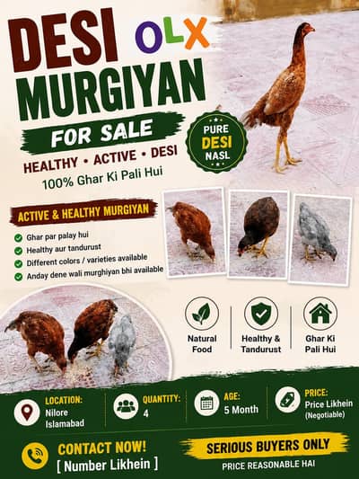 Desi murgy urgent for sale