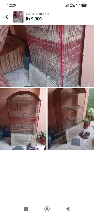 Cage for birds o333.237ll34