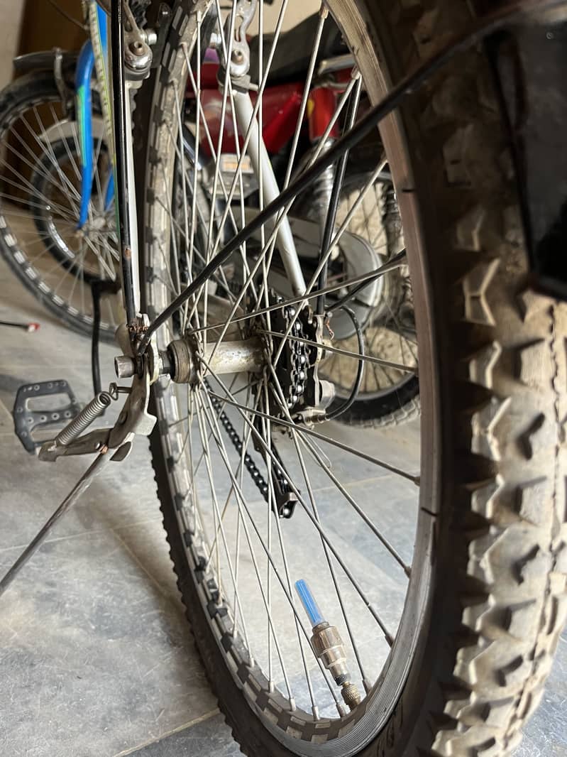Full size imported cycle 1