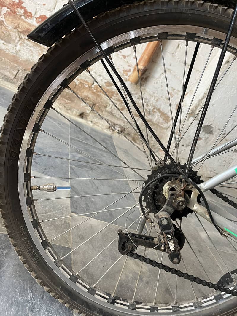 Full size imported cycle 2
