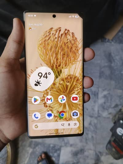 Google Pixel 6 Pro