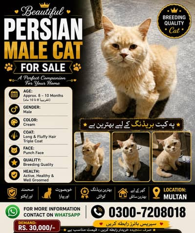 urgent for sale