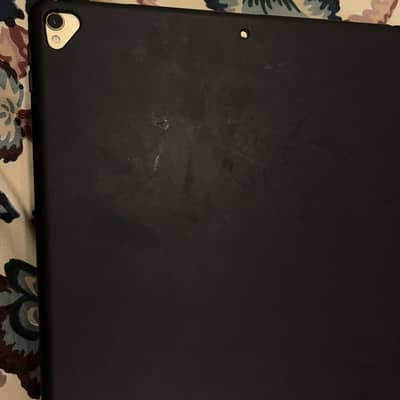 I pad pro 2 Generation 13