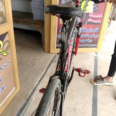 Louis Garnier mountain cycle