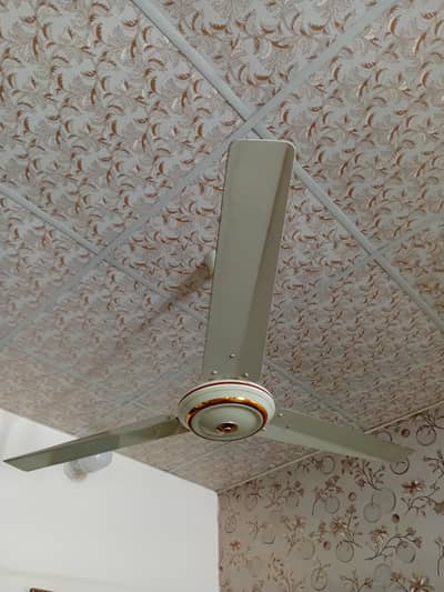 Fan For Urgent Sale