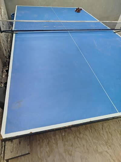 table tennis table