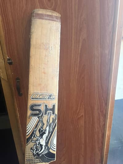 Hard Ball bat